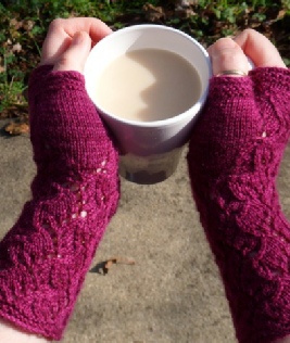 Carpe Diem: Fingerless Mitts